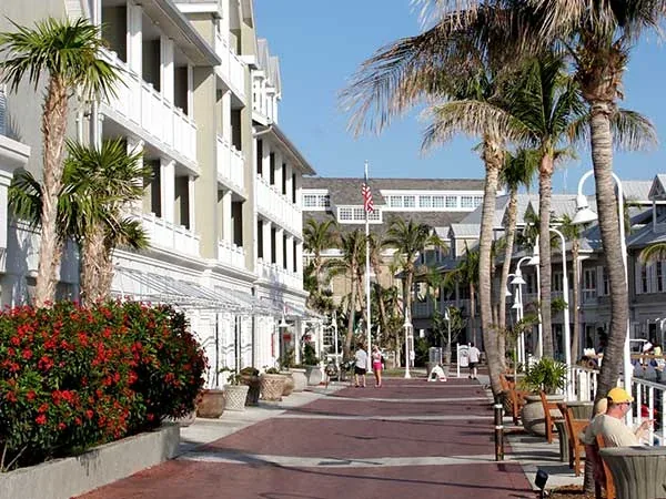 Homes along a palm-lined street in Key West
